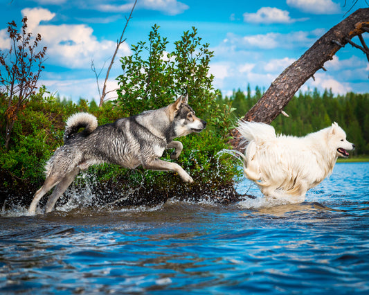 Varför naturen är bästa platsen