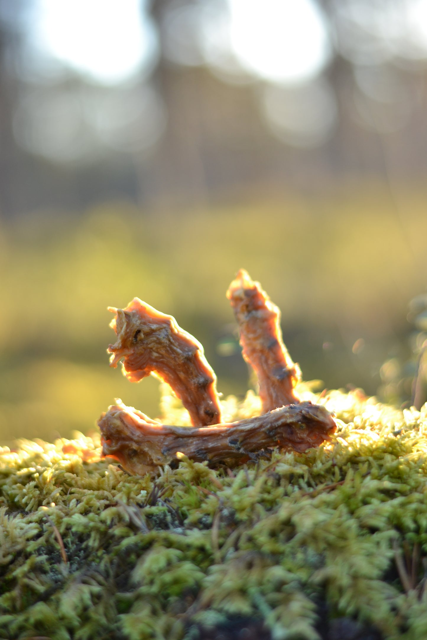 Kycklinghalsar 3-pack