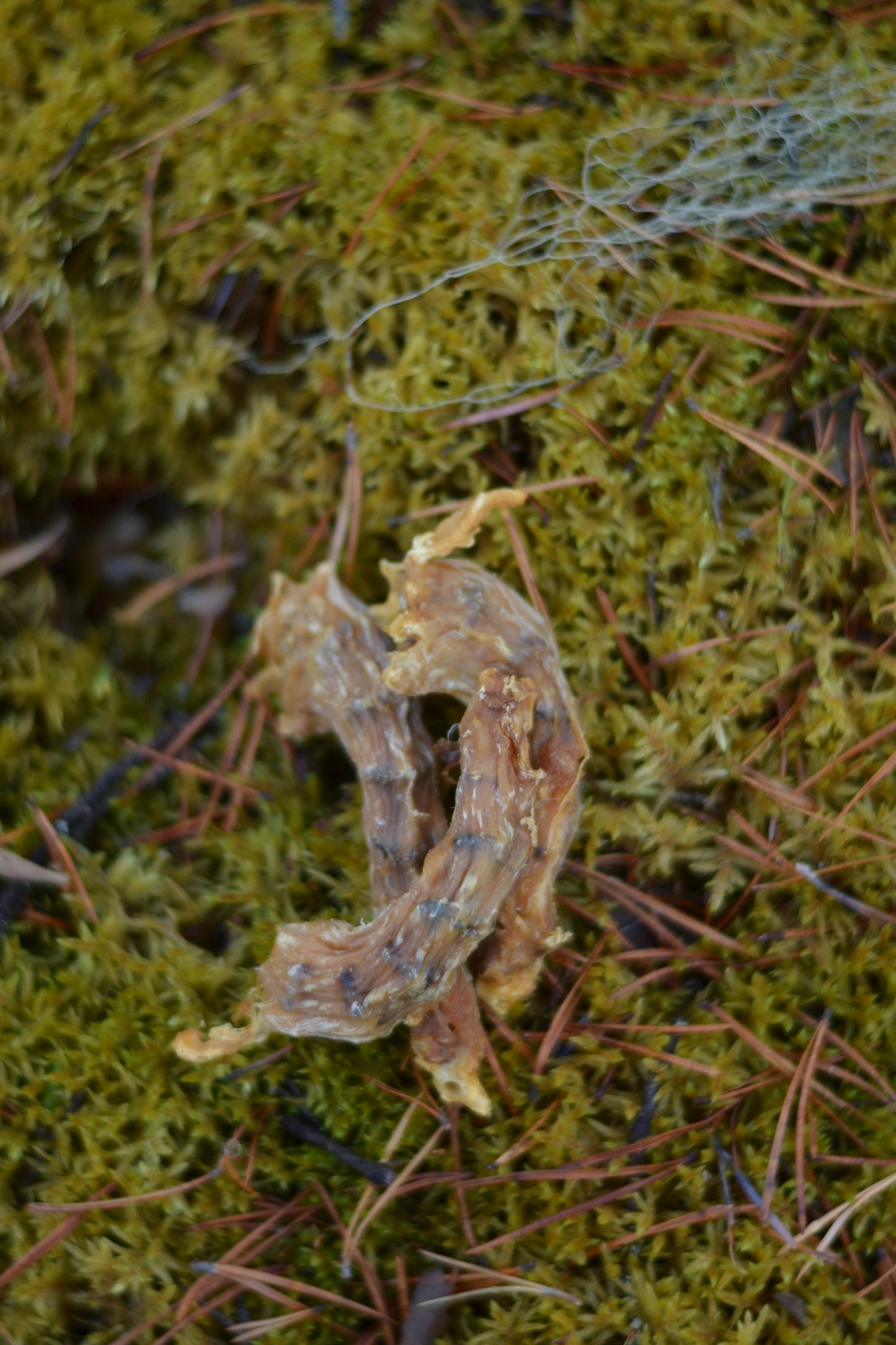 Kycklinghalsar 3-pack