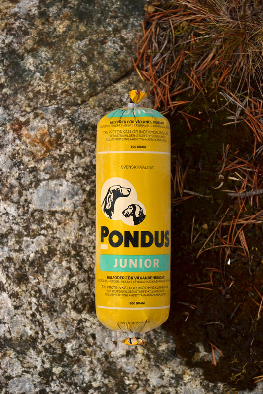 Pondus - Junior (Skickas ej)