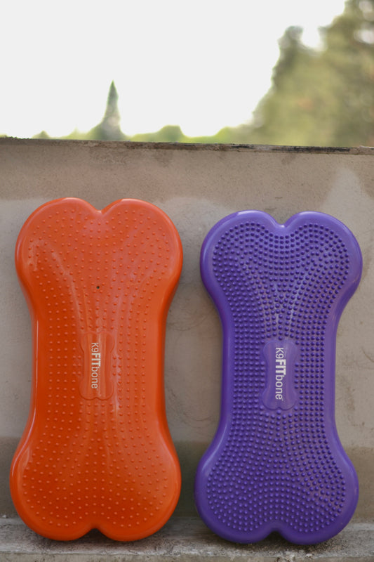 K9FITbone Balansplatta