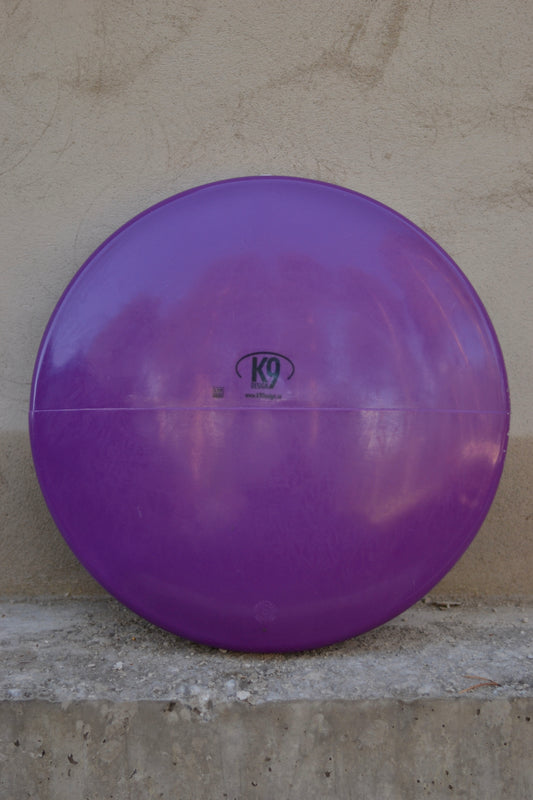 Balansplatta Disk 40 cm