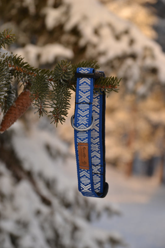 Halsband Blå Reflex