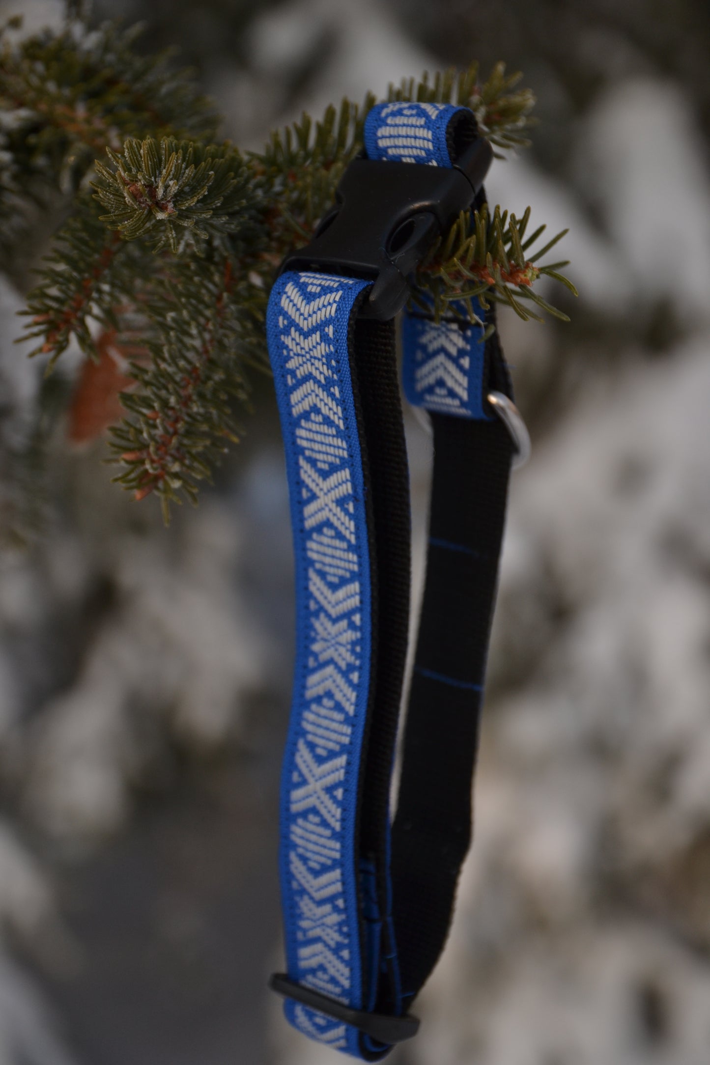 Halsband Blå Reflex