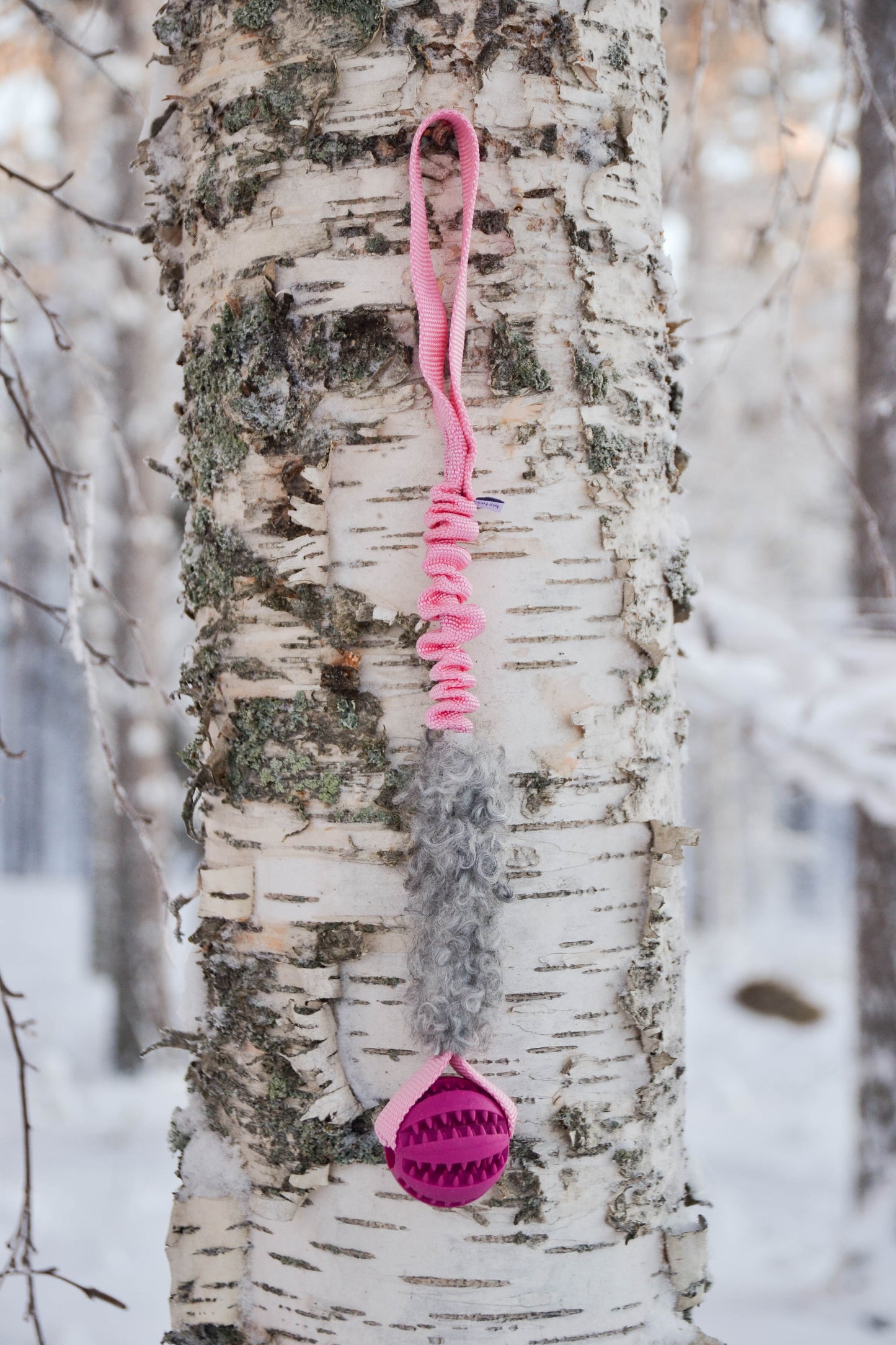 Hector expander med boll och päls