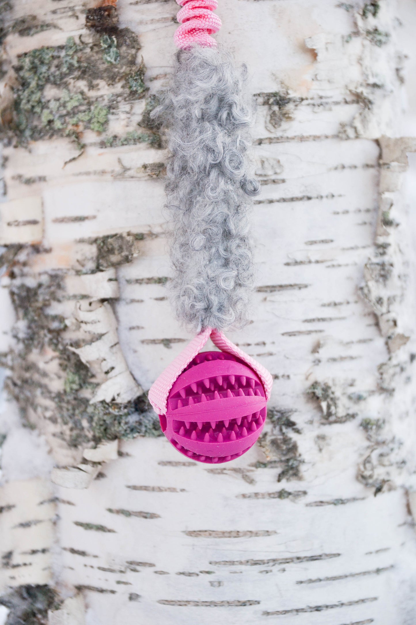 Hector expander med boll och päls