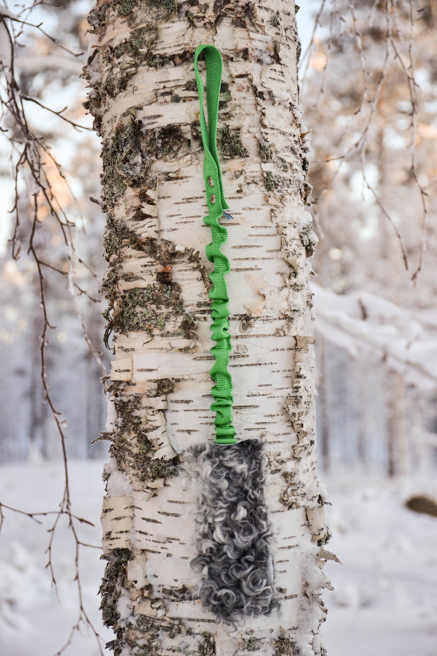 Iver expander med fårskinn