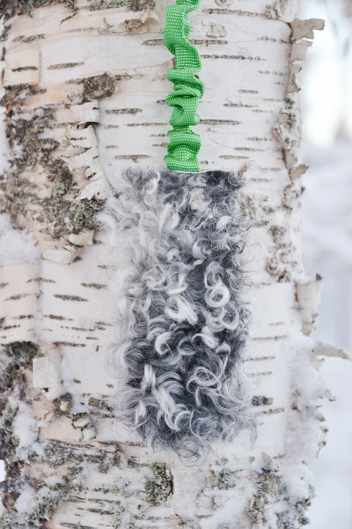 Iver expander med fårskinn