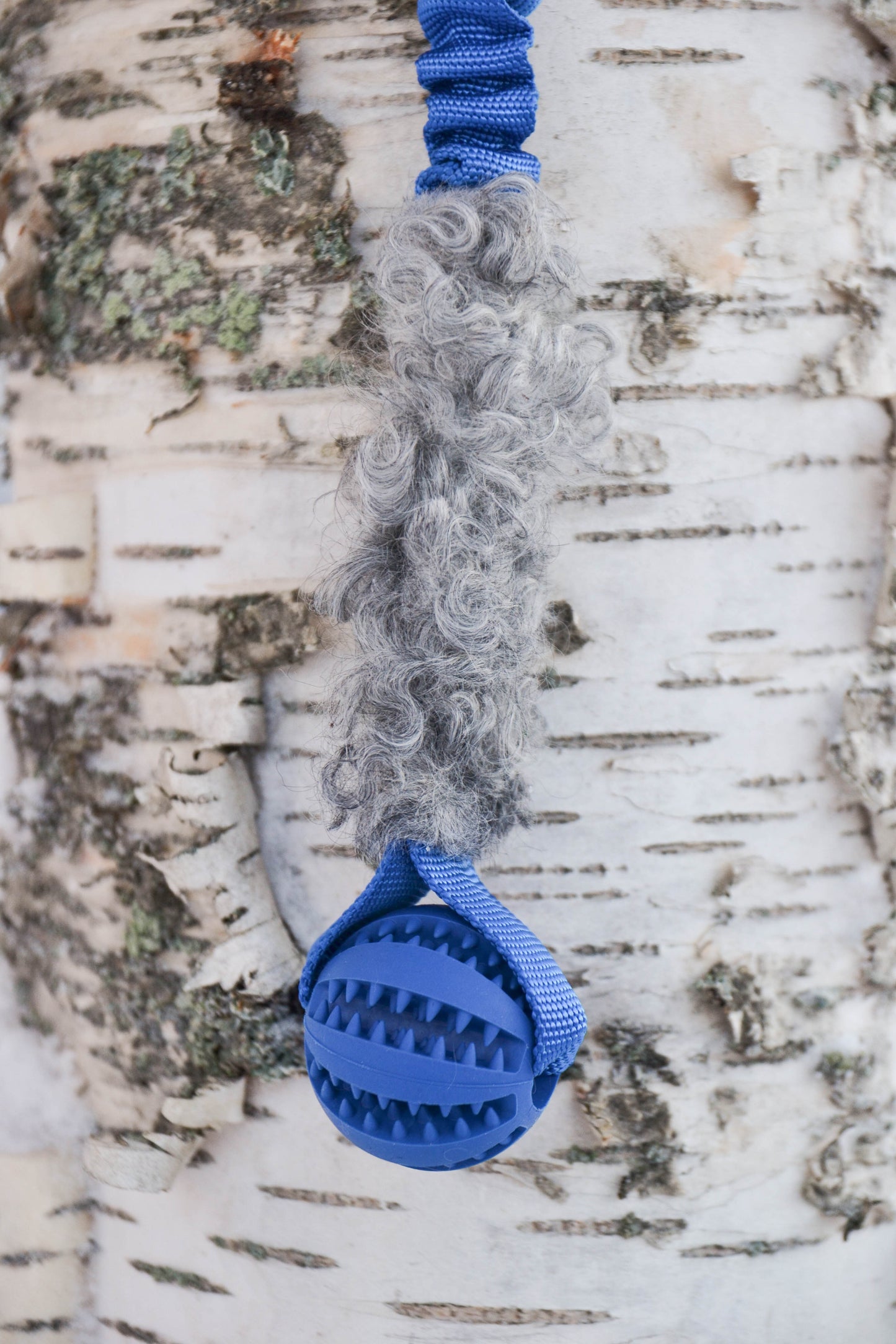 Hector expander med boll och päls