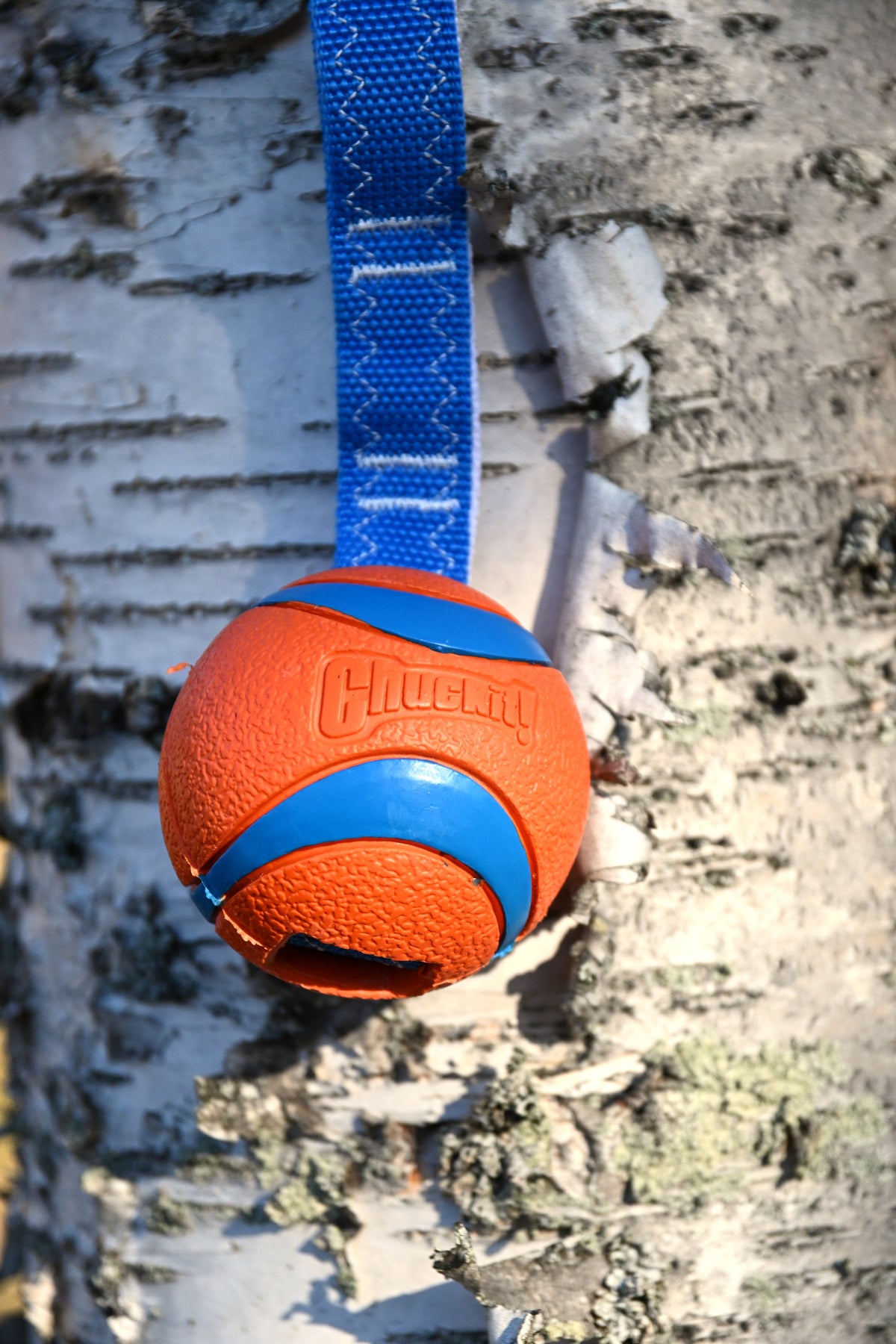 Chuckit boll med handtag