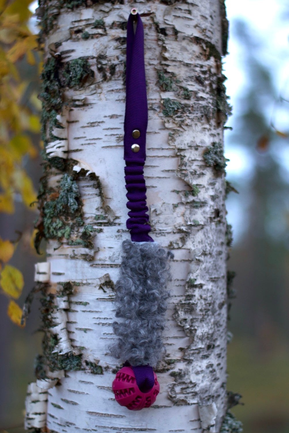 Hector expander med boll och päls