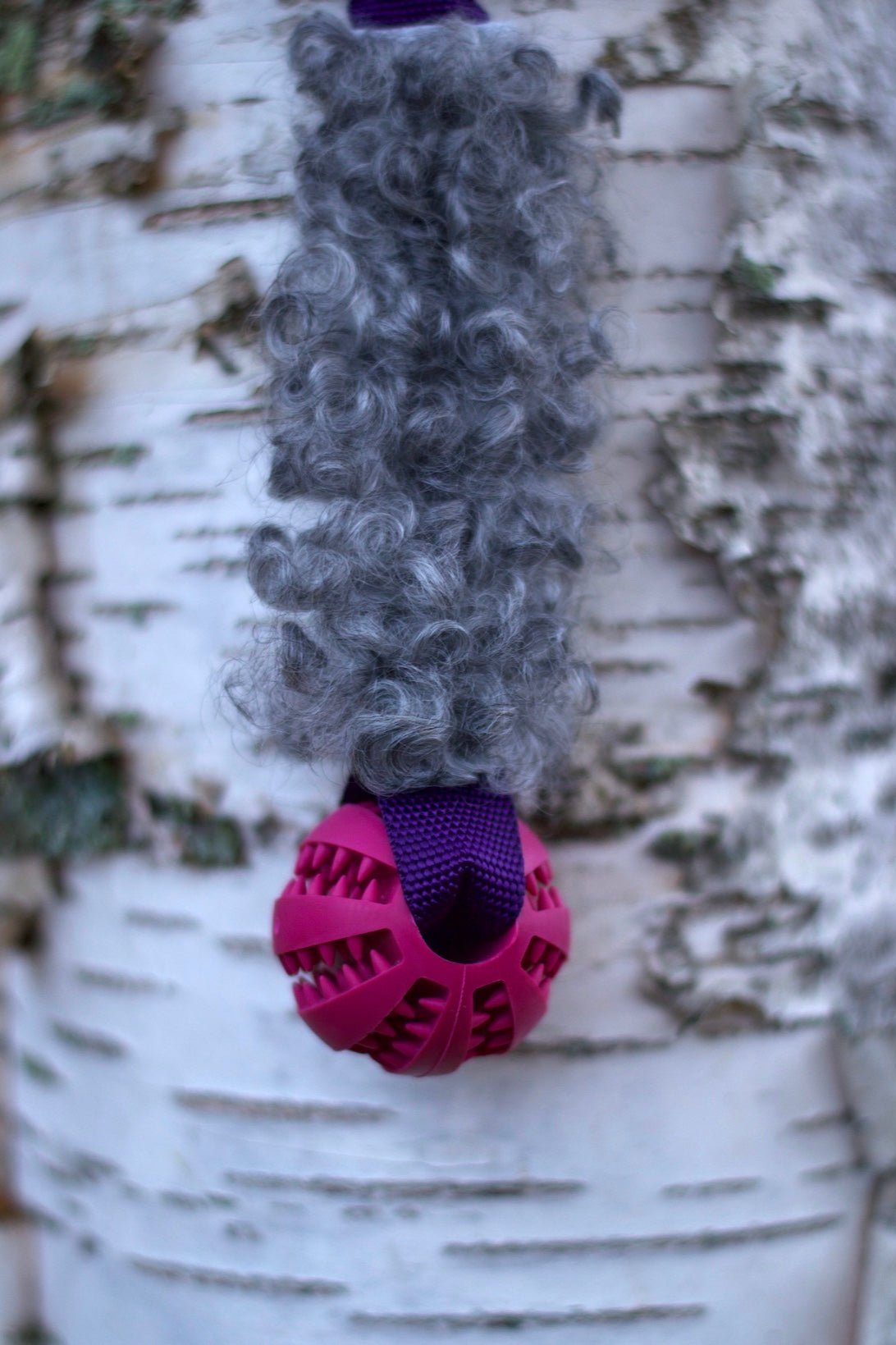 Hector expander med boll och päls