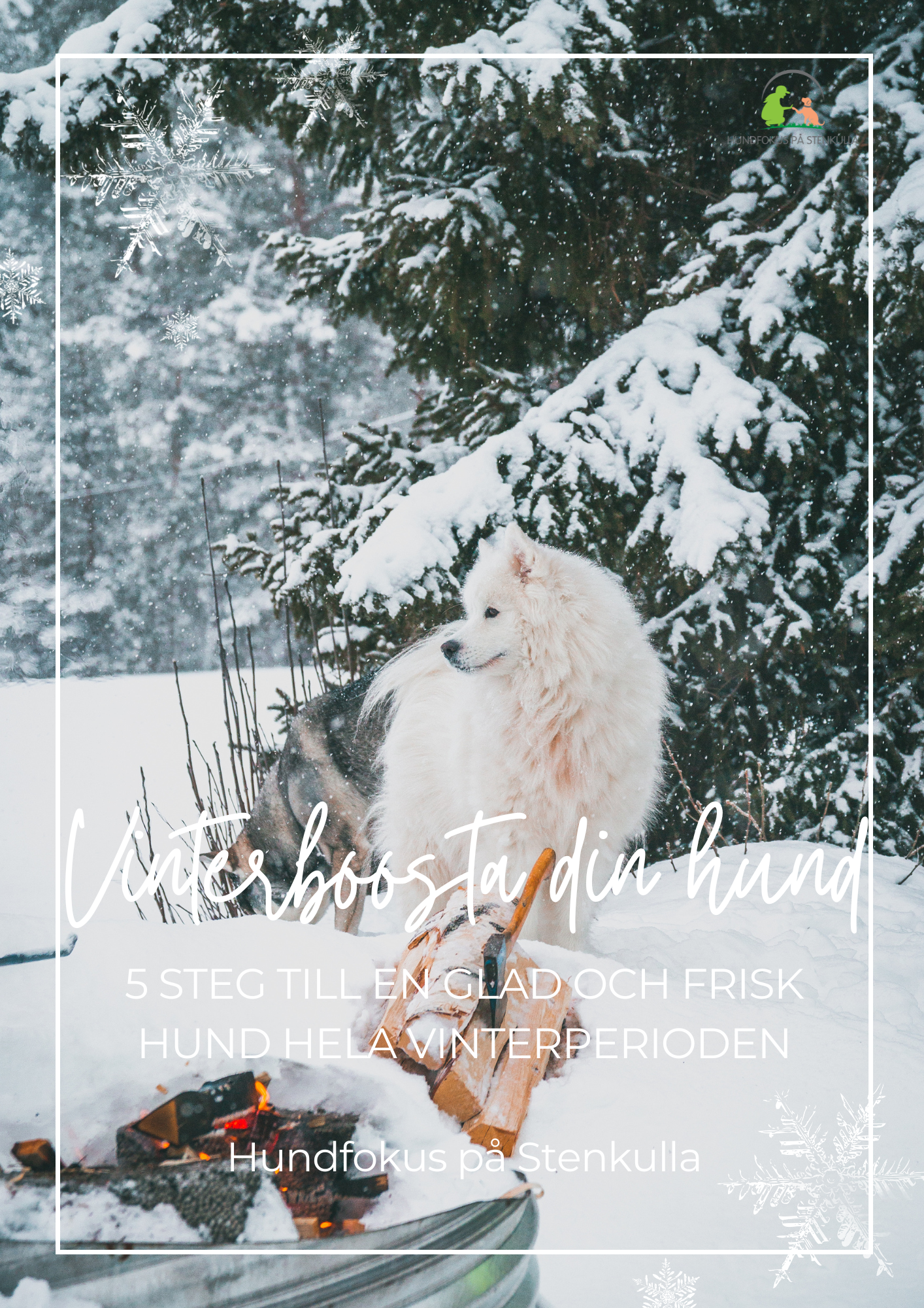 Gratis Guide: Vinterboosta din hund – 5 enkla steg för en frisk och glad hund hela vinterperioden! ❄️