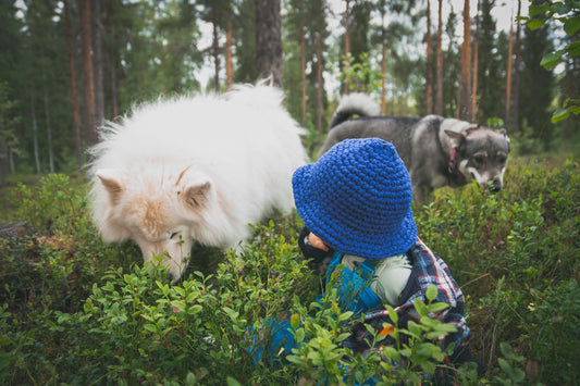 Hundar, lera och en 2,5-åring: Livet i naturen, i kaos och glädje