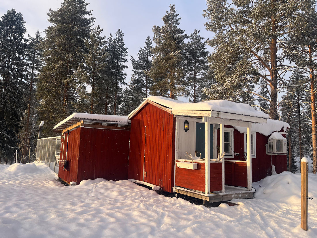 En plats för lugn, trygghet och svansvift – livet på pensionatet i Stenkulla