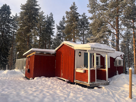 En plats för lugn, trygghet och svansvift – livet på pensionatet i Stenkulla