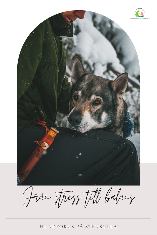 Från stress till balans - Guide