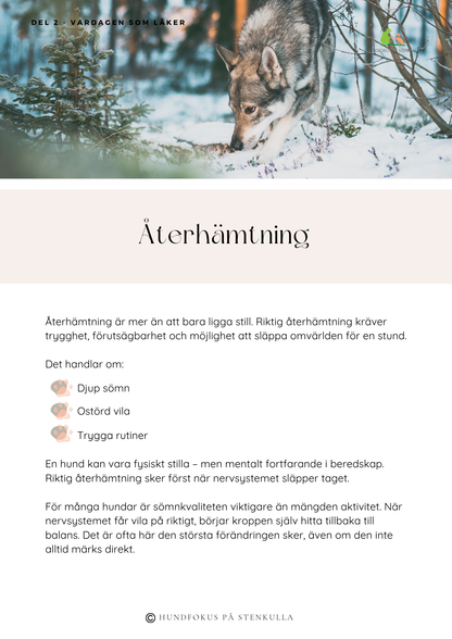 Från stress till balans - Guide