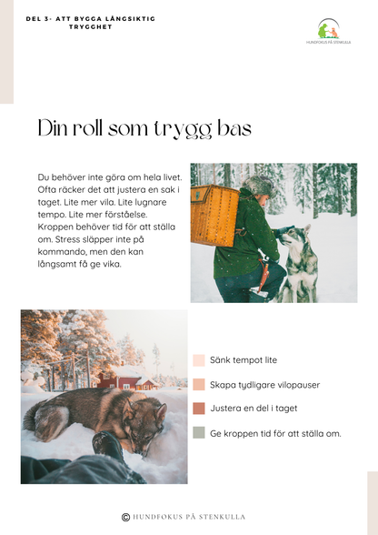 Från stress till balans - Guide