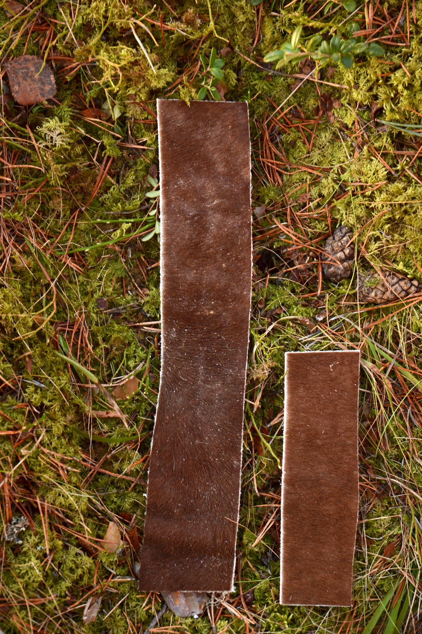 Nötstrips XL