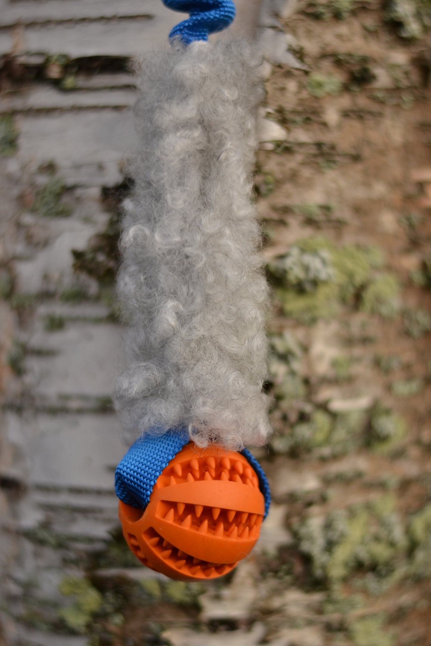 Hector expander med boll och päls