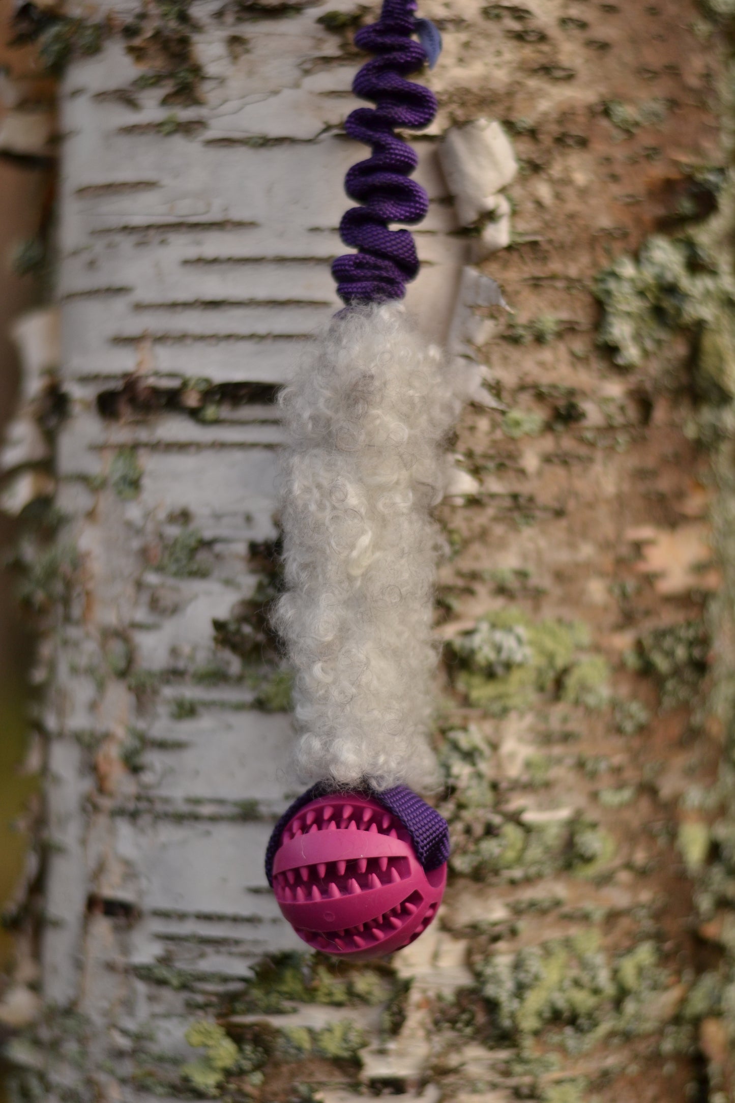 Hector expander med boll och päls