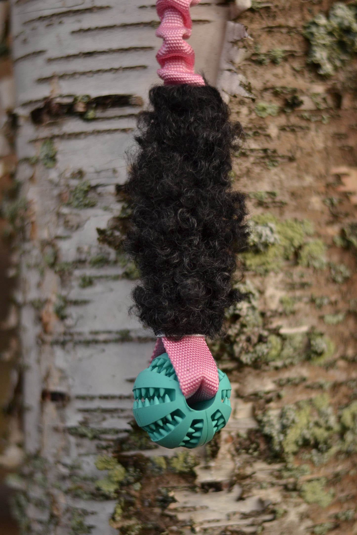 Hector expander med boll och päls