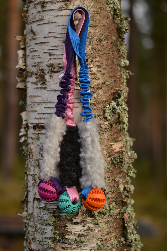 Hector expander med boll och päls
