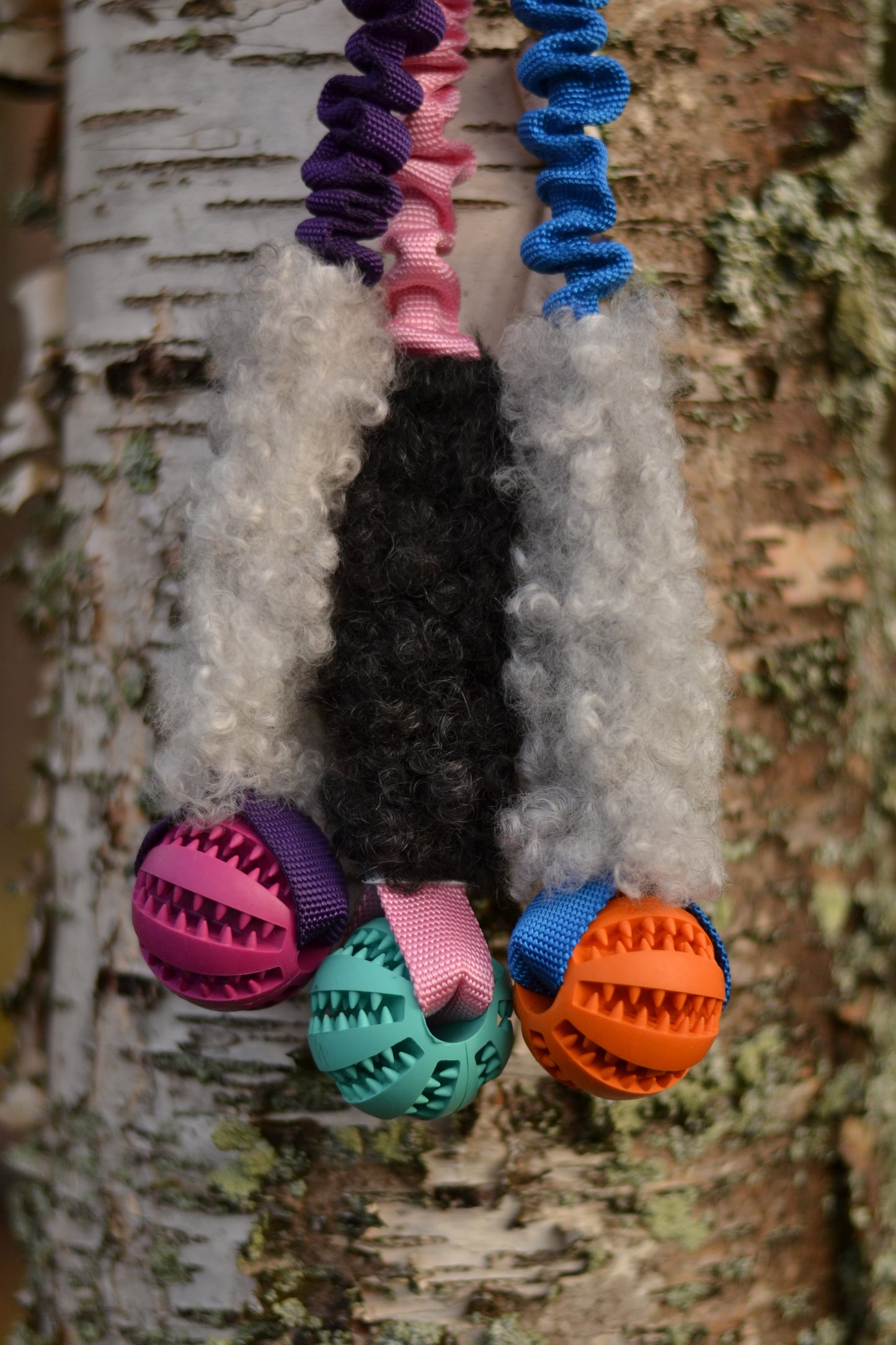 Hector expander med boll och päls