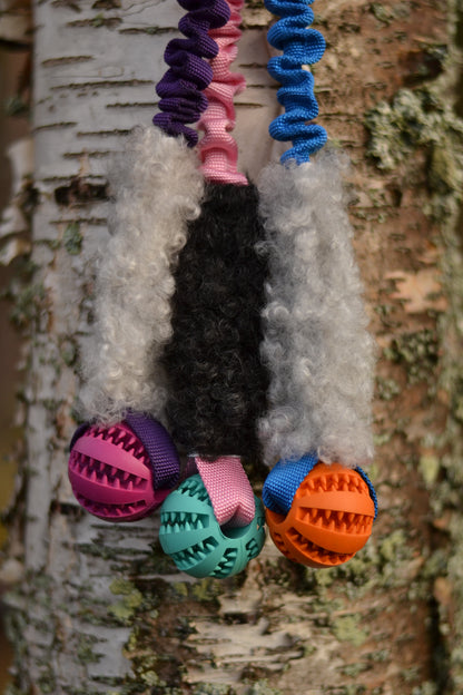 Hector expander med boll och päls