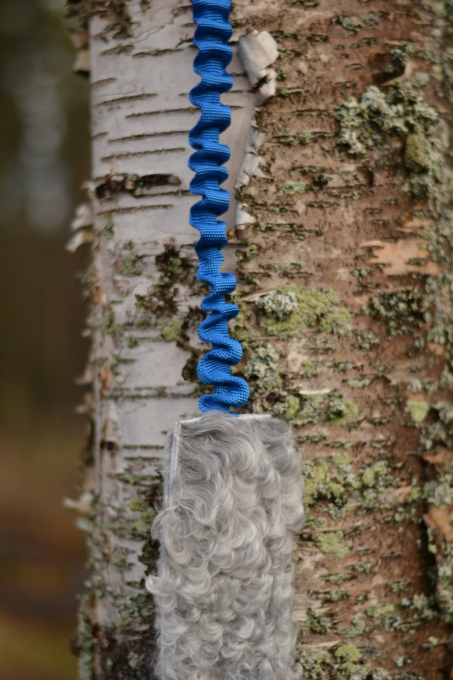 Iver expander med fårskinn