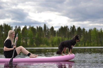 Prova-på-kurs: Paddleboard med hund