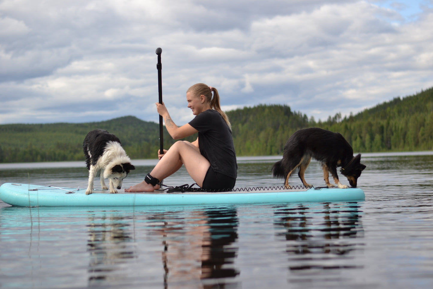 Prova-på-kurs: Paddleboard med hund