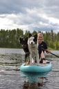 Prova-på-kurs: Paddleboard med hund