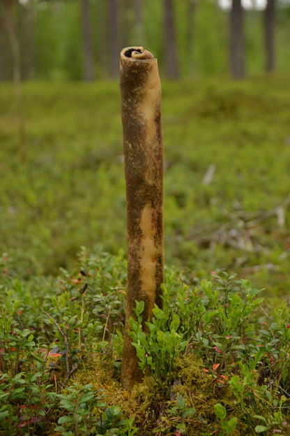 Nötrulle