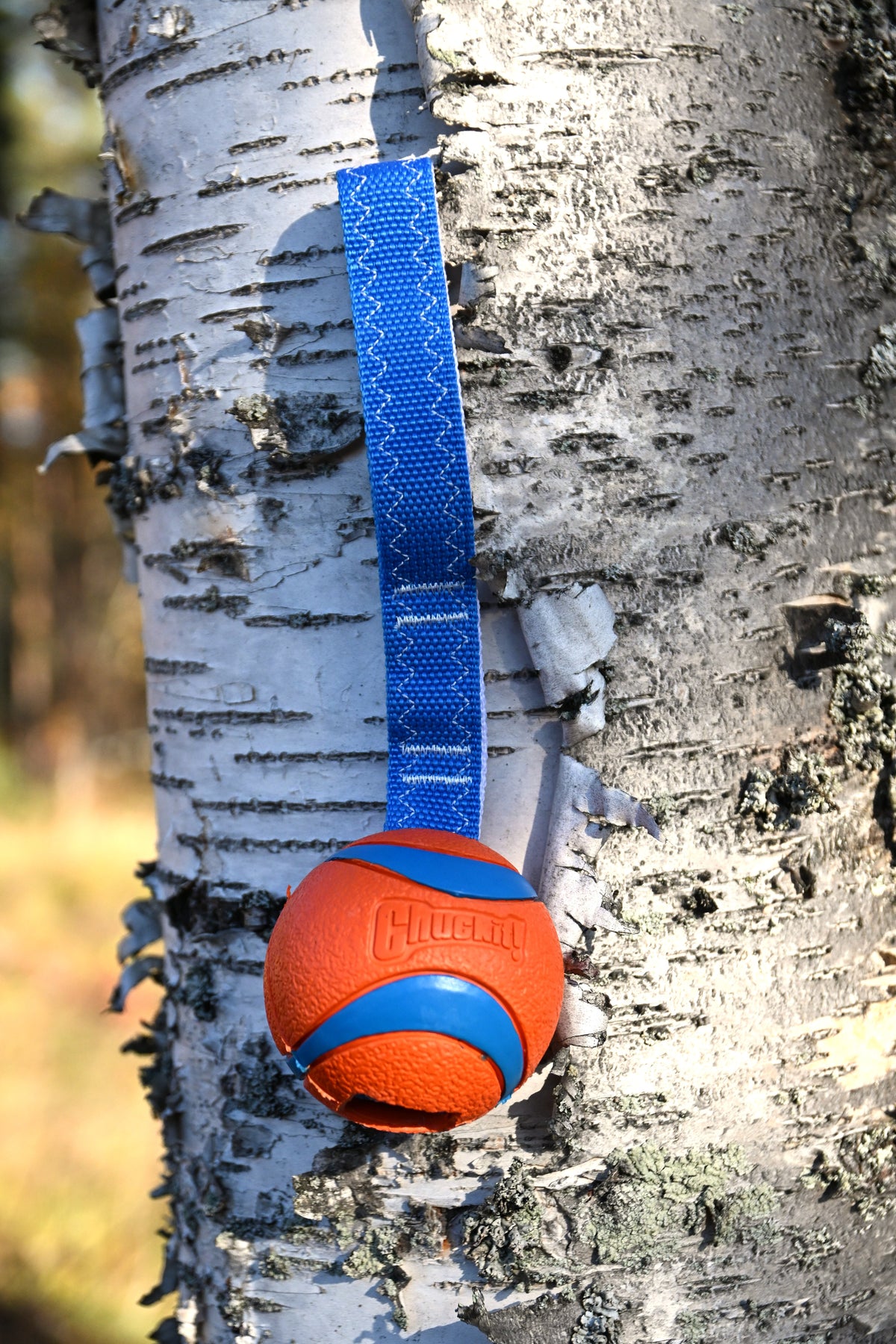 Chuckit boll med handtag