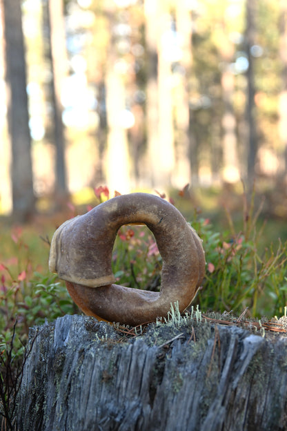 Nötring