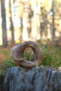 Nötring