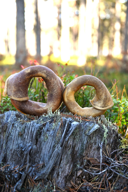 Nötring