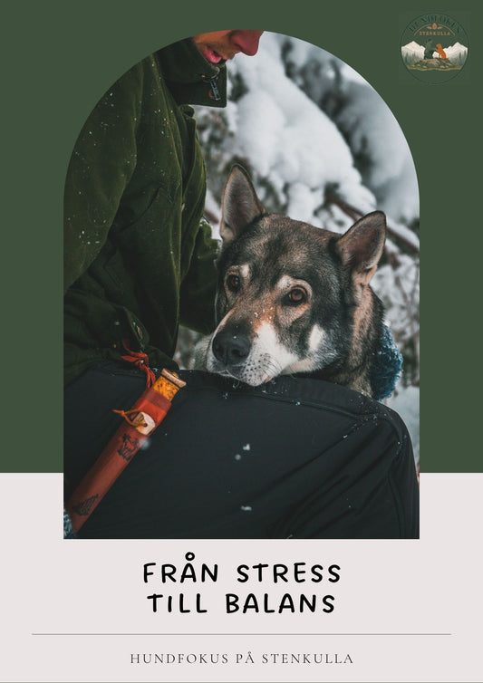 Från stress till balans - Guide