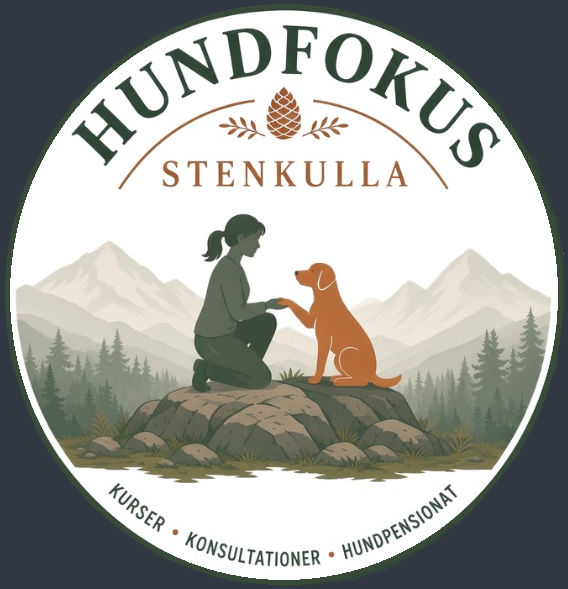 Hundfokus på stenkulla