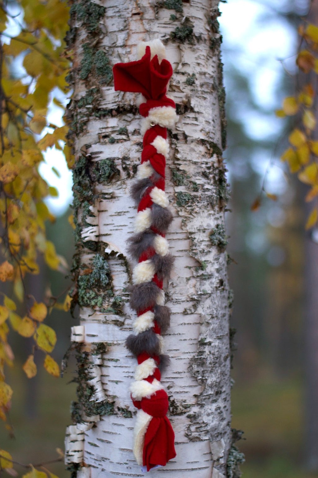 Kampfläta kanin