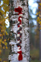 Kampfläta kanin