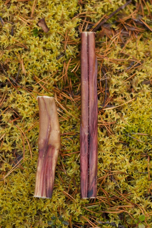 Tjurmuskel