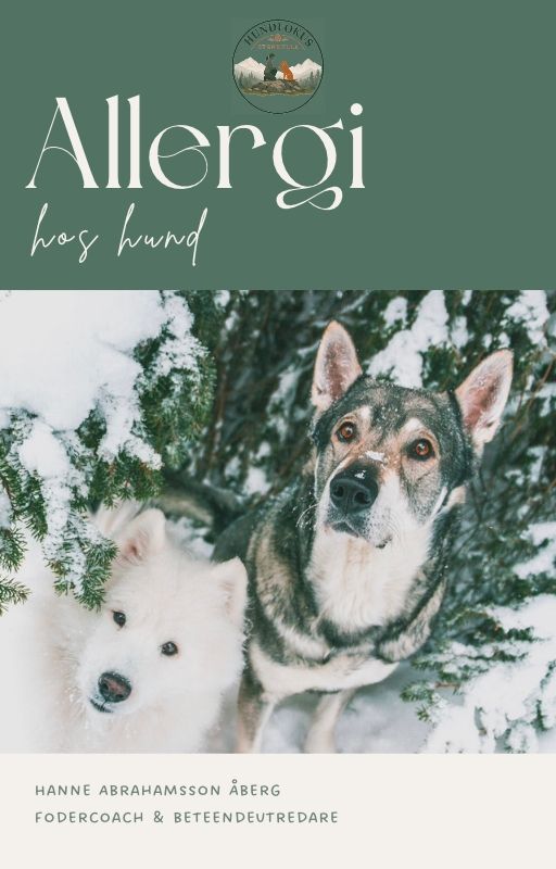 Allergi hos hund - Gratis guide