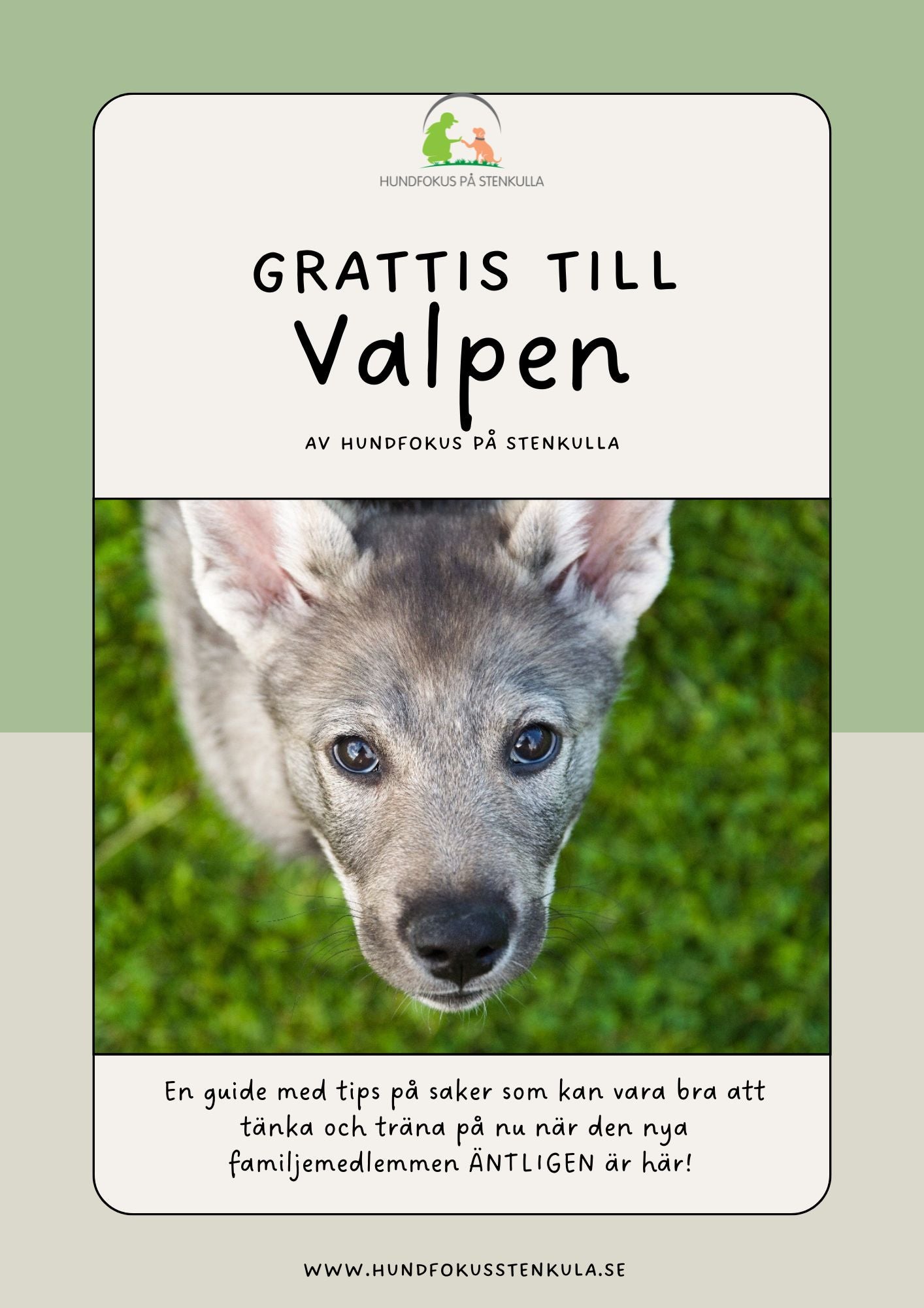 Välkommen Valp – Din guide till en trygg och harmonisk start tillsammans