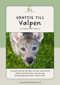 Välkommen Valp – Din guide till en trygg och harmonisk start tillsammans